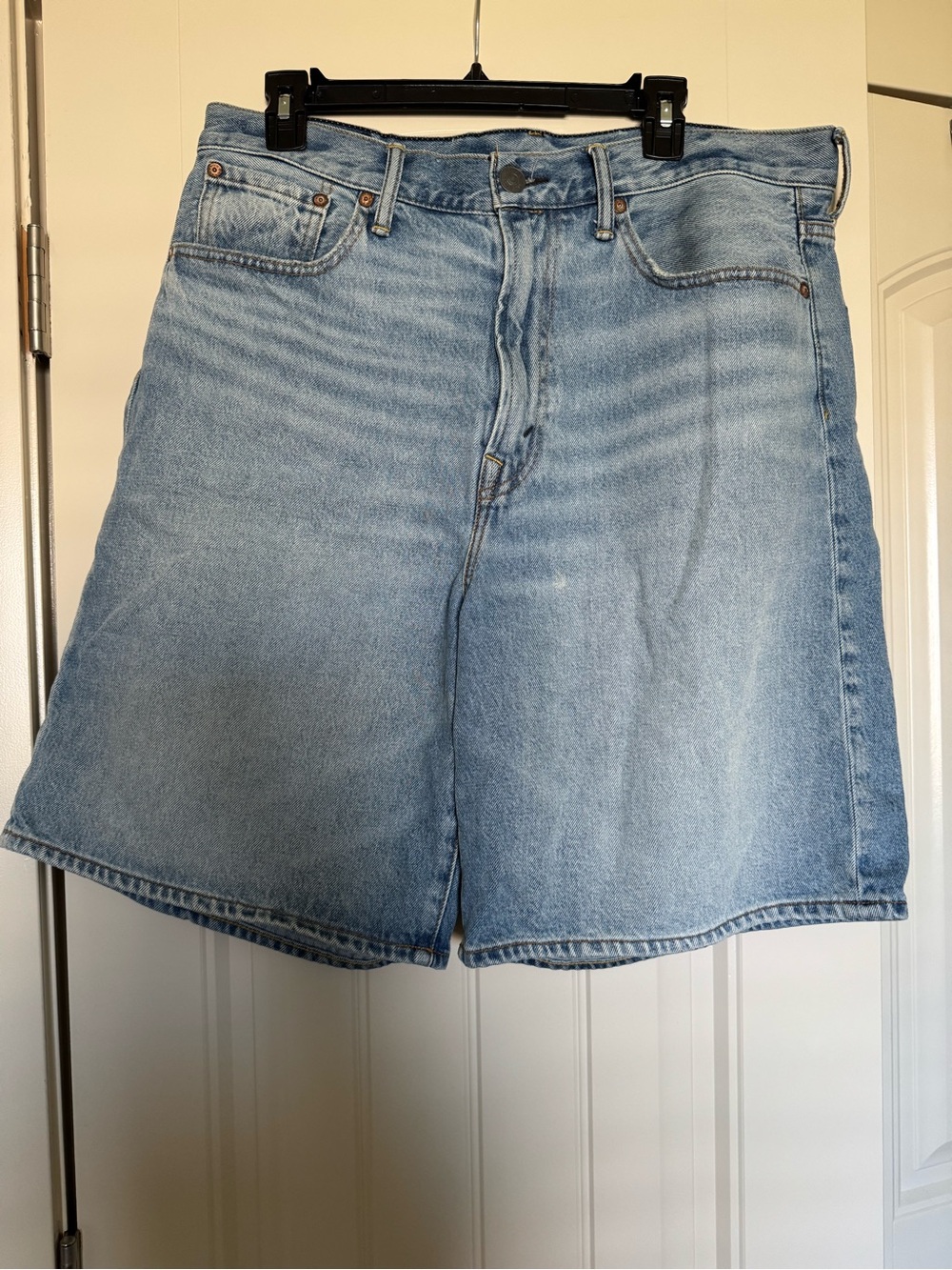 American Eagle Men’s Baggy Jort